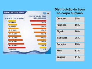 Distribuição da água
no corpo humano
 