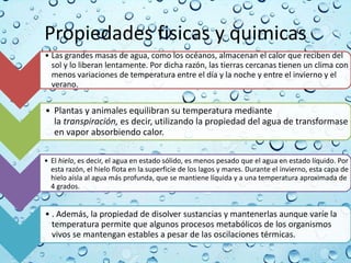 Propiedades fisicas y quimicas
• Las grandes masas de agua, como los océanos, almacenan el calor que reciben del
sol y lo liberan lentamente. Por dicha razón, las tierras cercanas tienen un clima con
menos variaciones de temperatura entre el día y la noche y entre el invierno y el
verano.
• Plantas y animales equilibran su temperatura mediante
la transpiración, es decir, utilizando la propiedad del agua de transformase
en vapor absorbiendo calor.
• El hielo, es decir, el agua en estado sólido, es menos pesado que el agua en estado líquido. Por
esta razón, el hielo flota en la superficie de los lagos y mares. Durante el invierno, esta capa de
hielo aísla al agua más profunda, que se mantiene líquida y a una temperatura aproximada de
4 grados.
• . Además, la propiedad de disolver sustancias y mantenerlas aunque varíe la
temperatura permite que algunos procesos metabólicos de los organismos
vivos se mantengan estables a pesar de las oscilaciones térmicas.
 