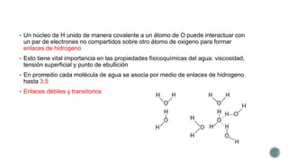  Un núcleo de H unido de manera covalente a un átomo de O puede interactuar con
un par de electrones no compartidos sobre otro átomo de oxigeno para formar
enlaces de hidrogeno
 Esto tiene vital importancia en las propiedades fisicoquímicas del agua: viscosidad,
tensión superficial y punto de ebullición
 En promedio cada molécula de agua se asocia por medio de enlaces de hidrogeno
hasta 3.5
 Enlaces débiles y transitorios
 