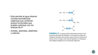  Esto permite al agua disolver
muchas biomoléculas
orgánicas que contienen
grupos funcionales que
pueden participar con los
enlaces de H
 Amidas, alcoholes, aldehídos
y cetonas
 