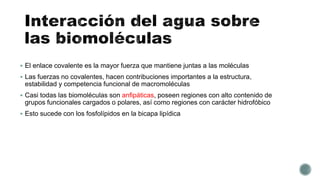  El enlace covalente es la mayor fuerza que mantiene juntas a las moléculas
 Las fuerzas no covalentes, hacen contribuciones importantes a la estructura,
estabilidad y competencia funcional de macromoléculas
 Casi todas las biomoléculas son anfipáticas, poseen regiones con alto contenido de
grupos funcionales cargados o polares, así como regiones con carácter hidrofóbico
 Esto sucede con los fosfolípidos en la bicapa lipídica
 