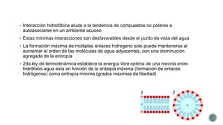  Interacción hidrofóbica alude a la tendencia de compuestos no polares a
autoasociarse en un ambiente acuoso
 Estas mínimas interacciones son desfavorables desde el punto de vista del agua
 La formación máxima de múltiples enlaces hidrogeno solo puede mantenerse al
aumentar el orden de las moléculas de agua adyacentes, con una disminución
agregada de la entropía
 2da ley de termodinámica establece la energía libre optima de una mezcla entre
hidrófobo-agua esta en función de la entalpia máxima (formación de enlaces
hidrógenos) como entropía mínima (grados máximos de libertad)
 