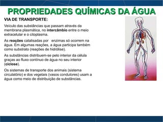 VIA DE TRANSPORTE:
Veículo das substâncias que passam através da
membrana plasmática, no intercâmbio entre o meio
extracelular e o citoplasma.
As reações catalisadas por enzimas só ocorrem na
água. Em algumas reações, a água participa também
como substrato (reações de hidrólise).
As substâncias distribuem-se pelo interior da célula
graças ao fluxo contínuo de água no seu interior
(ciclose).
Os sistemas de transporte dos animais (sistema
circulatório) e dos vegetais (vasos condutores) usam a
água como meio de distribuição de substâncias.
PROPRIEDADES QUÍMICAS DA ÁGUAPROPRIEDADES QUÍMICAS DA ÁGUA
 