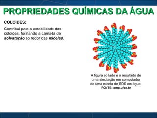 COLOIDES:
Contribui para a estabilidade dos
coloides, formando a camada de
solvatação ao redor das micelas.
A figura ao lado é o resultado de
uma simulação em computador
de uma micela de SDS em água.
FONTE: qmc.ufsc.br
PROPRIEDADES QUÍMICAS DA ÁGUAPROPRIEDADES QUÍMICAS DA ÁGUA
 