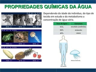 Dependendo da idade do indivíduo, do tipo de
tecido em estudo e do metabolismo a
concentração de água vária.
PROPRIEDADES QUÍMICAS DA ÁGUAPROPRIEDADES QUÍMICAS DA ÁGUA
 