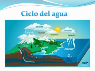 Agua