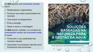 As SbN apoiam uma economia circular,
que é:
ü Restauradora e regenerativa
ü Promove uma maior produtividade dos
recursos
ü Visa reduzir os desperdícios
ü Evita a poluiç̧ão
ü Aplica o reuso e a reciclagem.
As SbN apoiam, também, os conceitos de
crescimento verde e de economia verde,
os quais:
ü Promovem o uso sustentável dos
recursos naturais
ü Aproveitam os processos naturais como
fundamento das economias.
http://unesdoc.unesco.org/images/0026/002615/261594por.pdf
 