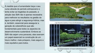 À medida que a humanidade traça o seu
curso através do período antropoceno e
tenta evitar as tragédias do passado, a
adoção das SbN não é apenas necessária
para melhorar os resultados na gestão da
água e para atingir a segurança hídrica, mas
é, também, essencial para assegurar a
geração de cobenefícios que são
fundamentais para todos os aspectos do
desenvolvimento sustentável. Embora as
SbN não sejam uma panaceia, elas exercem
um papel essencial na construção de um
futuro melhor, mais próspero, mais seguro e
mais equitativo para todos.
Um “parque suspenso”, © Truyen Vu/Shutterstock.com
Lago Naivasha (Quênia), © Anna Om/Shutterstock.com
 