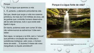 Porque é a água fonte de vida?Porque:
Foi na água que apareceu a vida
É, portanto, o elemento primordial da vida
Daí que, desde que surgiu a vida nos oceanos
primitivos, há mais de 4 mil milhões de anos, até
às guelras que o embrião humano desenvolve
até às sete semanas, tudo o que existe está
ligado à água.
Em teoria, podemos estar sem comer 30 dias,
não sobrevivemos se estivermos 3 dias sem
beber.
Sem água, no sangue e na linfa, sem o “veículo”
que permite a circulação das moléculas e
substâncias biológicas pelo corpo, o homem
deixa de existir ... E durante 9 meses ele viveu
mergulhado no líquido amniótico!!!
© darren price/Flickr/CC-BY-2.0
https://www.science-et-vie.com/questions-reponses/pourquoi-l-eau-est-elle-
source-de-vie-10285
 