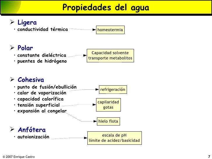 Agua 2007