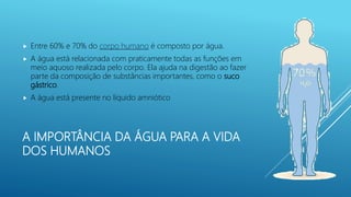 A IMPORTÂNCIA DA ÁGUA PARA A VIDA
DOS HUMANOS
 Entre 60% e 70% do corpo humano é composto por água.
 A água está relacionada com praticamente todas as funções em
meio aquoso realizada pelo corpo. Ela ajuda na digestão ao fazer
parte da composição de substâncias importantes, como o suco
gástrico.
 A água está presente no líquido amniótico
 