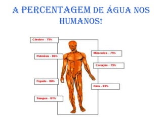 A percentagem de água nos
        humanos!
 