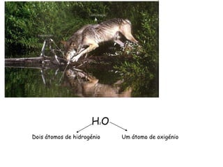 HO 2



Dois átomos de hidrogénio   Um átomo de oxigénio
 