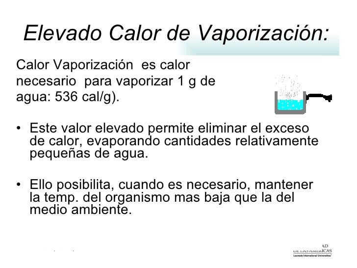 Agua Agua Tic