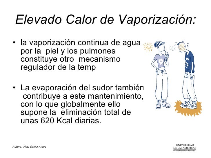 Agua Agua Tic