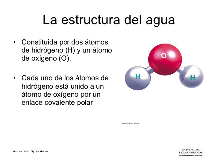 Agua Agua Tic