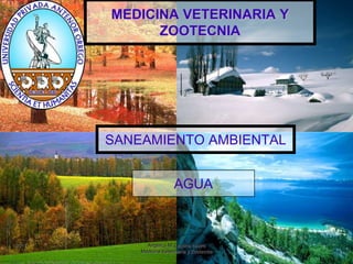 MEDICINA VETERINARIA Y ZOOTECNIA SANEAMIENTO AMBIENTAL 1 Angélica M. Lozano castro                                 Medicina Veterinaria y Zootecnia 2011 AGUA 