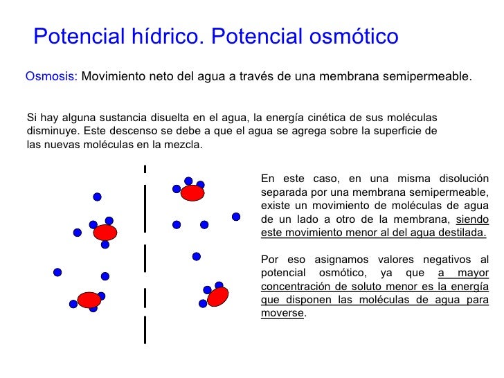 Agua osmosis