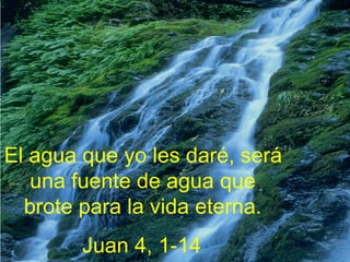 El agua que yo les daré, será una fuente de agua que brote para la vida eterna. Juan 4, 1-14 
