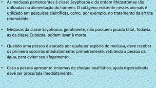 • As medusas pertencentes à classe Scyphozoa e da ordem Rhizostomae são
utilizadas na alimentação do homem. O colágeno existente nesses animais é
utilizado em pesquisas científicas, como, por exemplo, no tratamento da artrite
reumatóide.
• Medusas da classe Scyphozoa, geralmente, não possuem picada fatal. Todavia,
as da classe Cubozoa, podem levar à morte.
• Quando uma pessoa é atacada por qualquer espécie de medusa, deve receber
os primeiro socorros imediatamente, primeiramente, retirando a pessoa da
água, para evitar seu afogamento.
• Caso a pessoa apresente sintomas de choque anafilático, ajuda especializada
deve ser procurada imediatamente.
 
