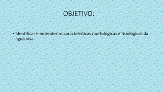 OBJETIVO:
• Identificar e entender as características morfológicas e fisiológicas da
água viva.
 