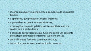 • O corpo da água-viva geralmente é composto de seis partes
básicas:
• a epiderme, que protege os órgãos internos;
• a gastroderme, que é a camada interna;
• a mesogléia, ou parte gelatinosa intermediária, entre a
epiderme e a gastroderme;
• a cavidade gastrovascular, que funciona como um conjunto
do esôfago, estômago e intestino, tudo em um só;
• um orifício que funciona como boca e ânus;
• tentáculos que formam a extremidade do corpo.
 