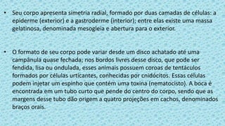 • Seu corpo apresenta simetria radial, formado por duas camadas de células: a
epiderme (exterior) e a gastroderme (interior); entre elas existe uma massa
gelatinosa, denominada mesogleia e abertura para o exterior.
• O formato de seu corpo pode variar desde um disco achatado até uma
campânula quase fechada; nos bordos livres desse disco, que pode ser
fendida, lisa ou ondulada, esses animais possuem coroas de tentáculos
formados por células urticantes, conhecidas por cnidócitos. Essas células
podem injetar um espinho que contém uma toxina (nematocisto). A boca é
encontrada em um tubo curto que pende do centro do corpo, sendo que as
margens desse tubo dão origem a quatro projeções em cachos, denominados
braços orais.
 