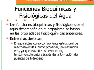 Funciones Bioquímicas y Fisiológicas del Agua Las funciones bioquímicas y fisiológicas que el agua desempeña en el organismo se basan en las propiedades físico-químicas anteriores. Entre ellas destacan: El agua actúa como componente estructural de macromoléculas, como proteínas, polisacáridos, etc., ya que estabiliza su estructura, fundamentalmente a través de la formación de puentes de hidrógeno. 