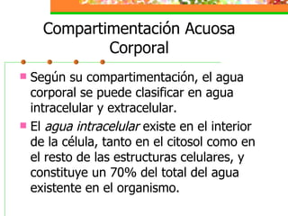 Compartimentación Acuosa Corporal Según su compartimentación, el agua corporal se puede clasificar en agua intracelular y extracelular. El  agua intracelular  existe en el interior de la célula, tanto en el citosol como en el resto de las estructuras celulares, y constituye un 70% del total del agua existente en el organismo. 