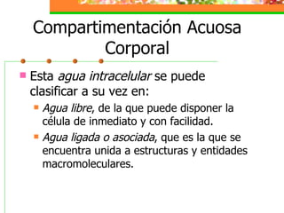 Compartimentación Acuosa Corporal Esta  agua intracelular  se puede clasificar a su vez en: Agua libre , de la que puede disponer la célula de inmediato y con facilidad. Agua ligada o asociada , que es la que se encuentra unida a estructuras y entidades macromoleculares. 