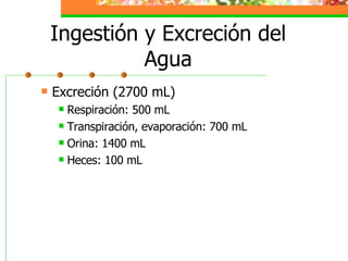 Ingestión y Excreción del Agua Excreción (2700 mL) Respiración: 500 mL Transpiración, evaporación: 700 mL Orina: 1400 mL Heces: 100 mL 