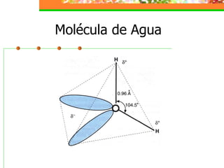 Molécula de Agua 