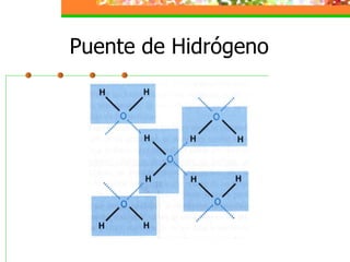 Puente de Hidrógeno 