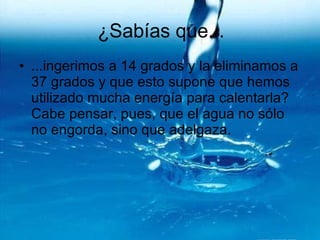 ¿Sabías que... ...ingerimos a 14 grados y la eliminamos a 37 grados y que esto supone que hemos utilizado mucha energía para calentarla? Cabe pensar, pues, que el agua no sólo no engorda, sino que adelgaza. 