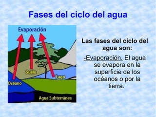 Fases del ciclo del agua Las fases del ciclo del agua son: -Evaporación.  El agua se evapora en la superficie de los océanos o por la tierra.  