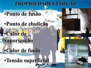 PROPRIEDADES FÍSICAS

•Ponto de fusão
•Ponto de ebulição
•Calor de
vaporização
•Calor de fusão
•Tensão superficial
 