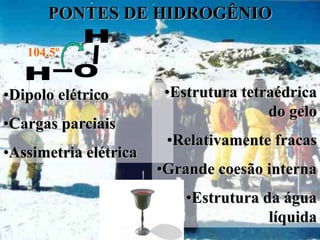 PONTES DE HIDROGÊNIO

   104,5º


•Dipolo elétrico        •Estrutura tetraédrica
                                       do gelo
•Cargas parciais
                        •Relativamente fracas
•Assimetria elétrica
                       •Grande coesão interna
                           •Estrutura da água
                                       líquida
 