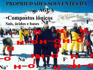 PROPRIEDADES SOLVENTES DA
            ÁGUA
  •Compostos iônicos
  Sais, ácidos e bases Na+         F-

         Na+                  F-

                    Na +           F-


        Na +                 F-

Na+                  F-
 