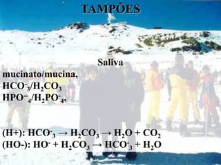 TAMPÕES



                    Saliva
mucinato/mucina,
HCO-3/H2CO3
HPO--4/H2PO-4,


(H+): HCO-3 → H2CO3 → H2O + CO2
(HO-): HO- + H2CO3 → HCO-3 + H2O
 