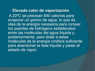   Elevado calor de vaporización
 A 20ºC se precisan 540 calorías para
evaporar un gramo de agua, lo que da
idea de la energía necesaria para romper
los puentes de hidrógeno establecidos
entre las moléculas del agua líquida y,
posteriormente, para dotar a estas
moléculas de la energía cinética suficiente
para abandonar la fase líquida y pasar al
estado de vapor.
 