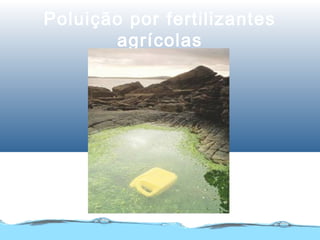 Poluição por fertilizantes
agrícolas
 