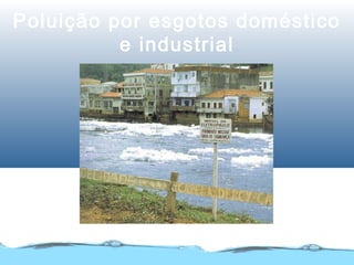 Poluição por esgotos doméstico
e industrial
 