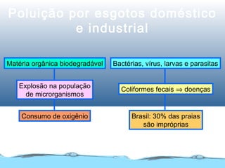 Poluição por esgotos doméstico
e industrial
Matéria orgânica biodegradável
Explosão na população
de microrganismos
Consumo de oxigênio
Bactérias, vírus, larvas e parasitas
Coliformes fecais ⇒ doenças
Brasil: 30% das praias
são impróprias
 