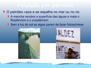 Poluição por petróleo
O petróleo vaza e se espalha no mar ou no rio
A mancha recobre a superfície das águas e mata o
fitoplâncton e o zooplâncton
Sem a luz do sol as algas param de fazer fotossíntese
 