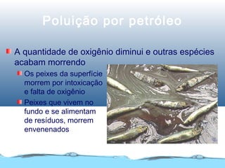 Poluição por petróleo
A quantidade de oxigênio diminui e outras espécies
acabam morrendo
Os peixes da superfície
morrem por intoxicação
e falta de oxigênio
Peixes que vivem no
fundo e se alimentam
de resíduos, morrem
envenenados
 