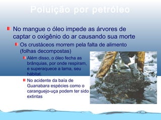 Poluição por petróleo
No mangue o óleo impede as árvores de
captar o oxigênio do ar causando sua morte
Os crustáceos morrem pela falta de alimento
(folhas decompostas)
Além disso, o óleo fecha as
brânquias, por onde respiram,
e superaquece a lama, seu
hábitat.
No acidente da baía de
Guanabara espécies como o
caranguejo-uça podem ter sido
extintas
 
