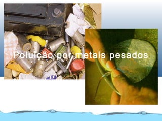 Poluição por metais pesados
 