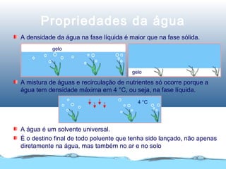 Propriedades da água
gelo
gelo
4 °C
A mistura de águas e recirculação de nutrientes só ocorre porque a
água tem densidade máxima em 4 °C, ou seja, na fase líquida.
A densidade da água na fase líquida é maior que na fase sólida.
A água é um solvente universal.
É o destino final de todo poluente que tenha sido lançado, não apenas
diretamente na água, mas também no ar e no solo
 