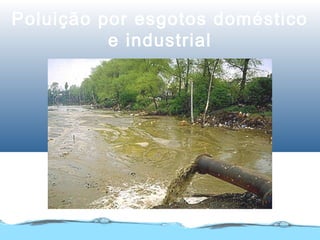Poluição por esgotos doméstico
e industrial
 