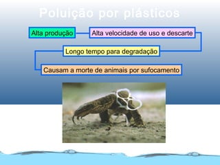 Poluição por plásticos
Alta produção
Longo tempo para degradação
Causam a morte de animais por sufocamento
Alta velocidade de uso e descarte
 